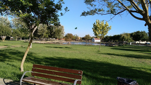 Parque nuevo